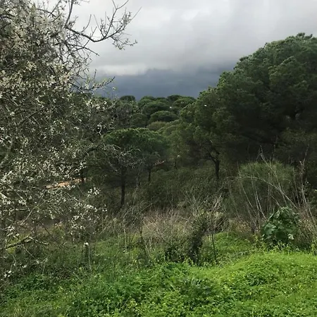 Lägenhet Rustica Borrachos